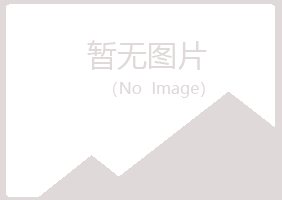 白银平川岑迷工程有限公司